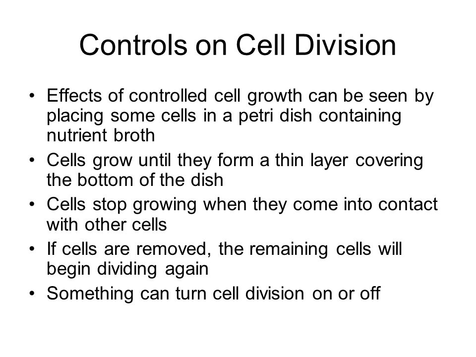 Controls on Cell Division