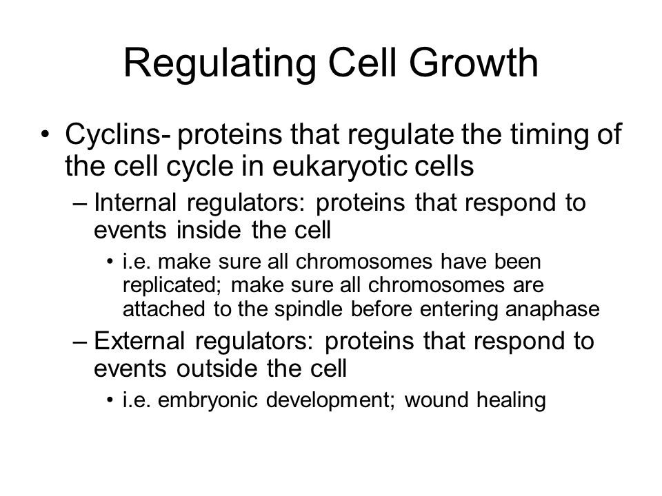 Regulating Cell Growth