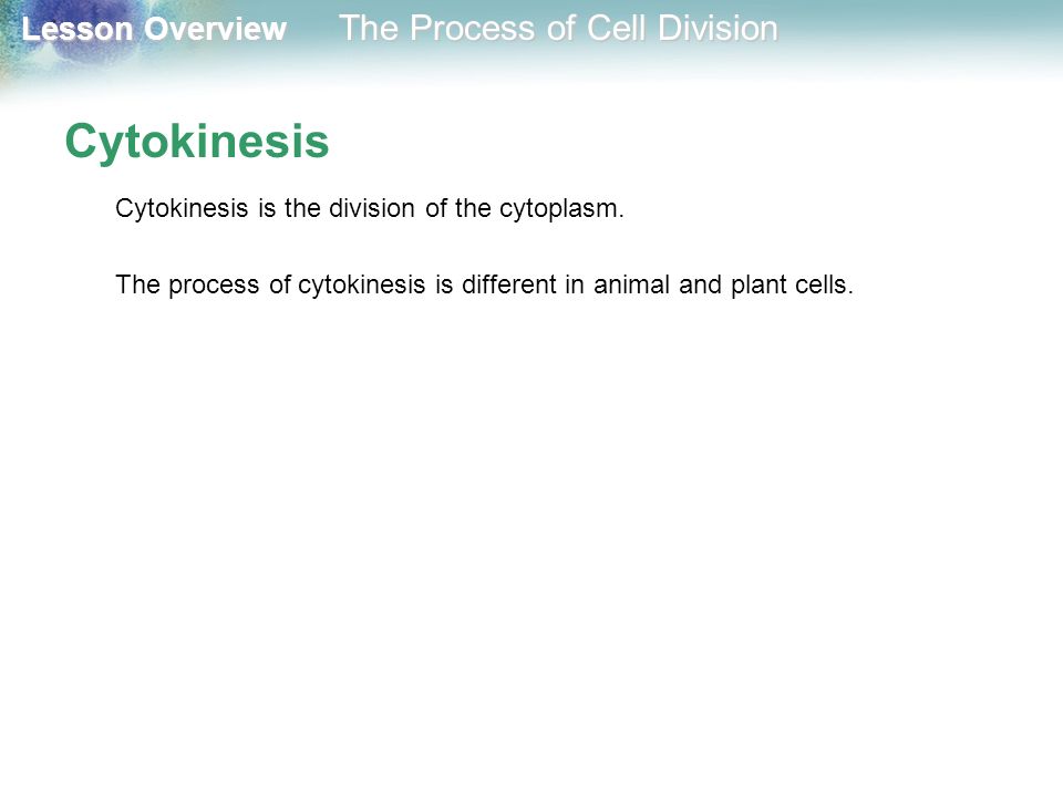 Cytokinesis Cytokinesis is the division of the cytoplasm.
