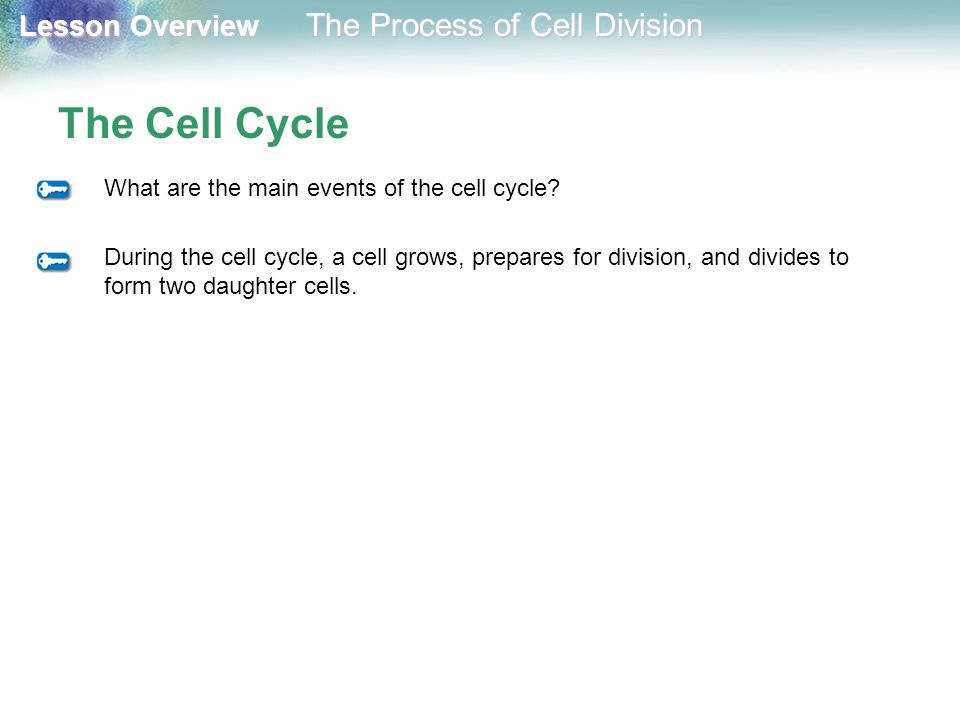 The Cell Cycle What are the main events of the cell cycle