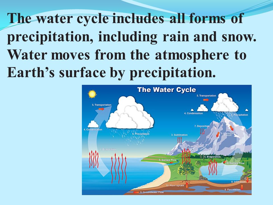 The water cycle includes all forms of precipitation, including rain and snow.