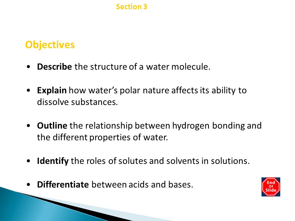 Chapter 2 Objectives Describe the structure of a water molecule.