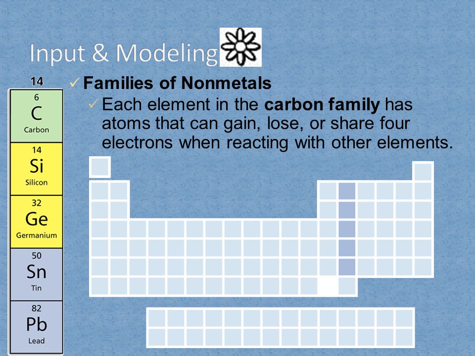 Input & Modeling Families of Nonmetals