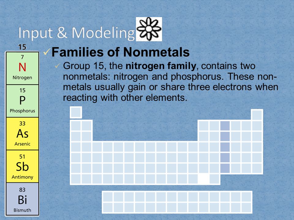 Input & Modeling Families of Nonmetals