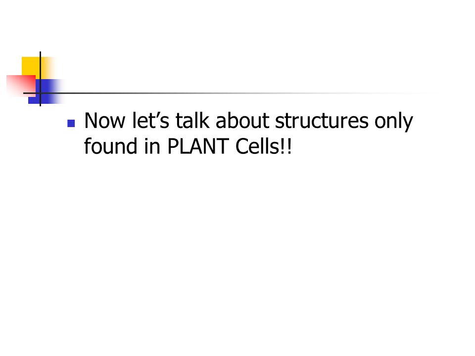 Now let’s talk about structures only found in PLANT Cells!!