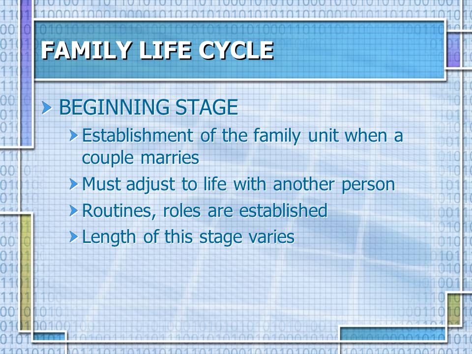 FAMILY LIFE CYCLE BEGINNING STAGE