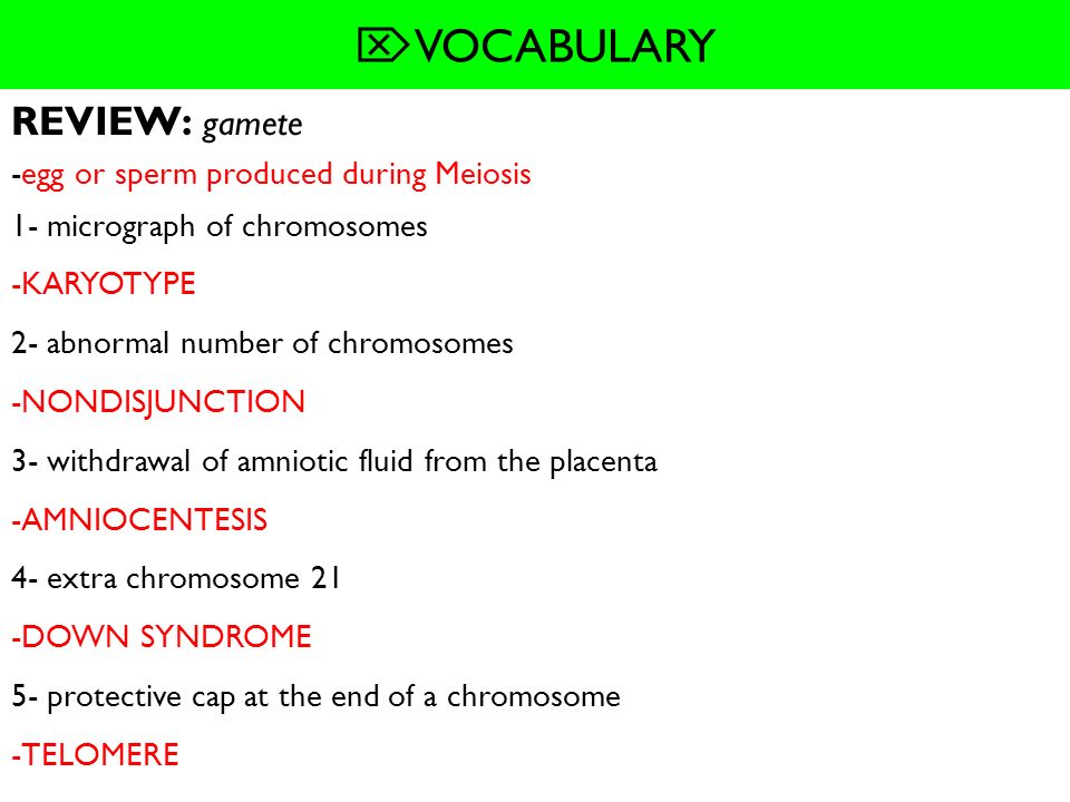 VOCABULARY REVIEW: gamete -egg or sperm produced during Meiosis