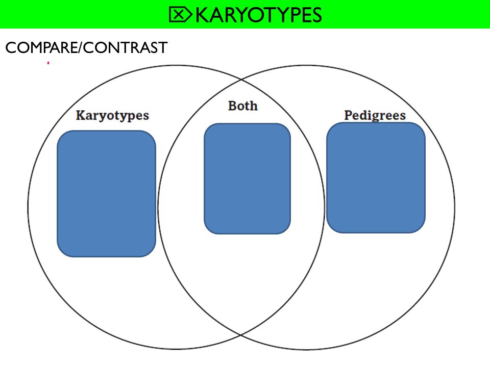 KARYOTYPES COMPARE/CONTRAST