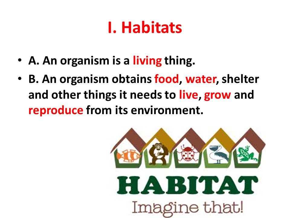 I. Habitats A. An organism is a living thing.
