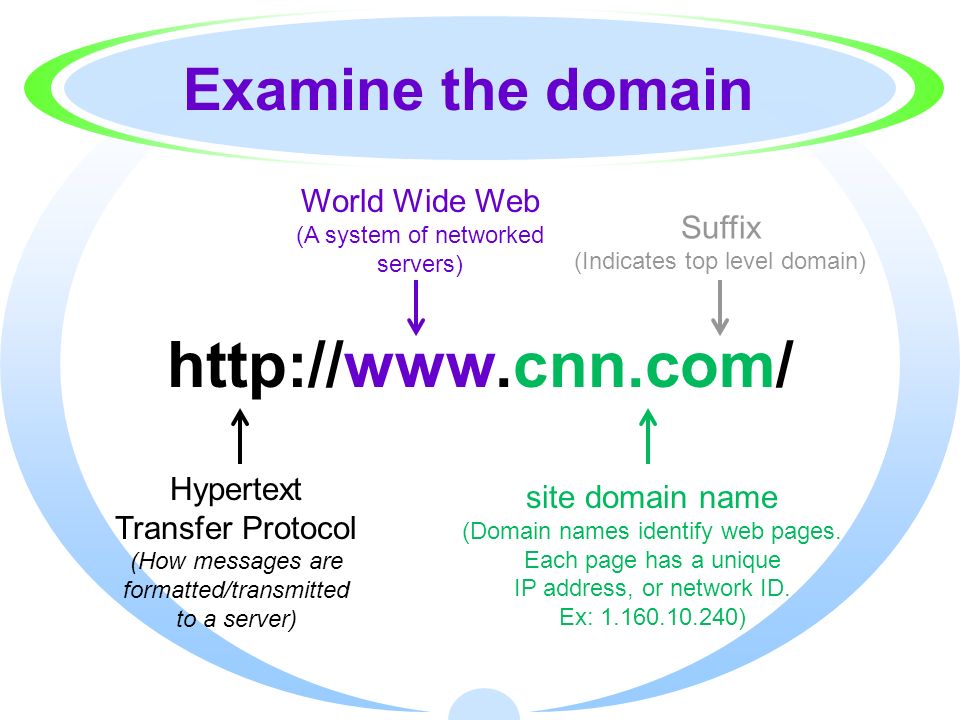 Examine the domain World Wide Web Suffix