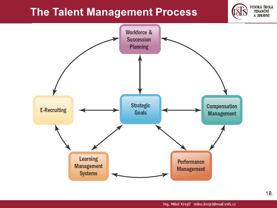 The Talent Management Process