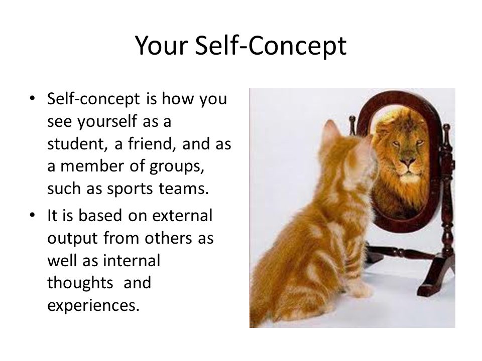 Your Self-Concept Self-concept is how you see yourself as a student, a friend, and as a member of groups, such as sports teams.