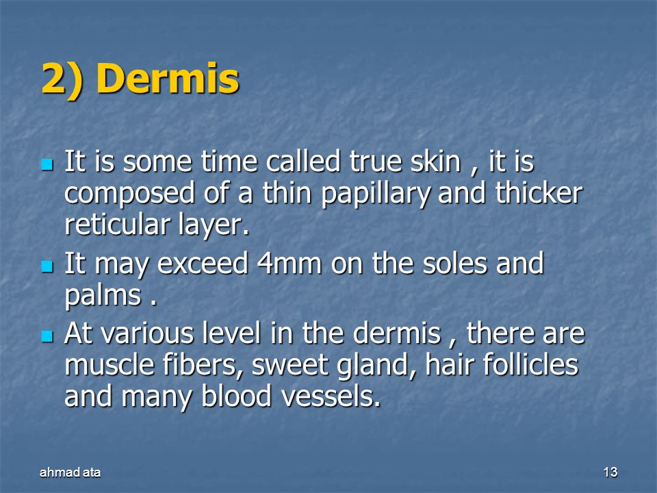 2) Dermis It is some time called true skin , it is composed of a thin papillary and thicker reticular layer.