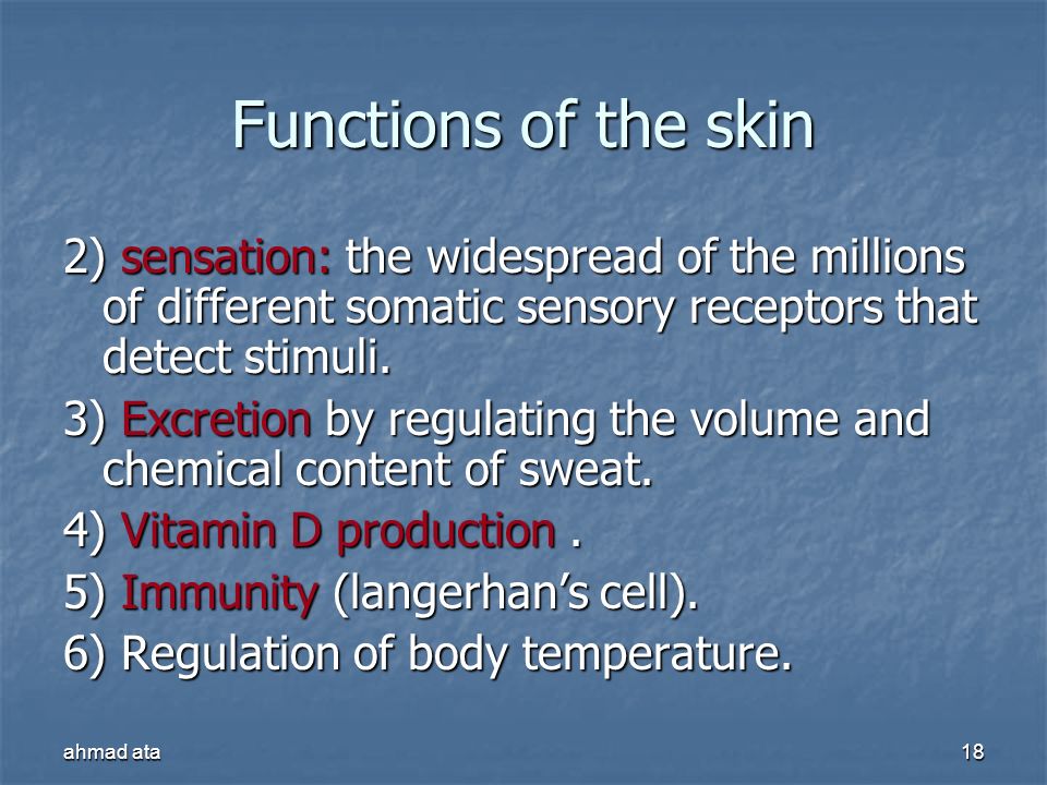 Functions of the skin 2) sensation: the widespread of the millions of different somatic sensory receptors that detect stimuli.