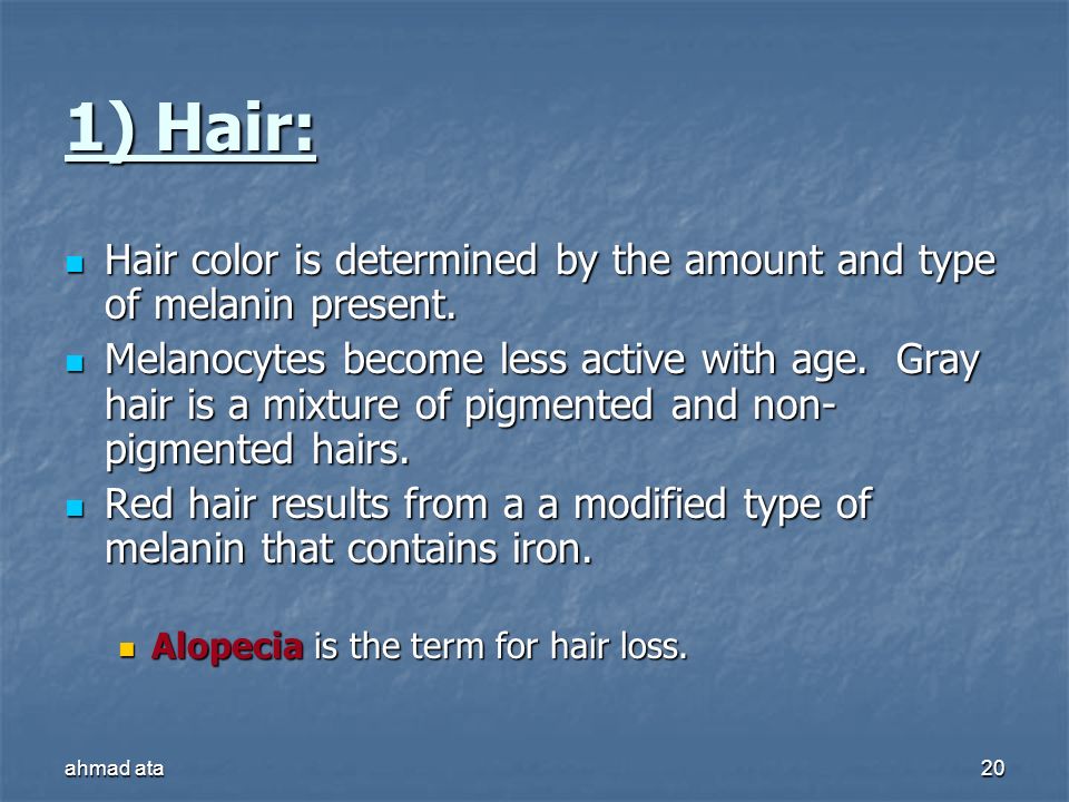 1) Hair: Hair color is determined by the amount and type of melanin present.