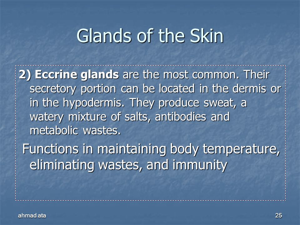 Glands of the Skin