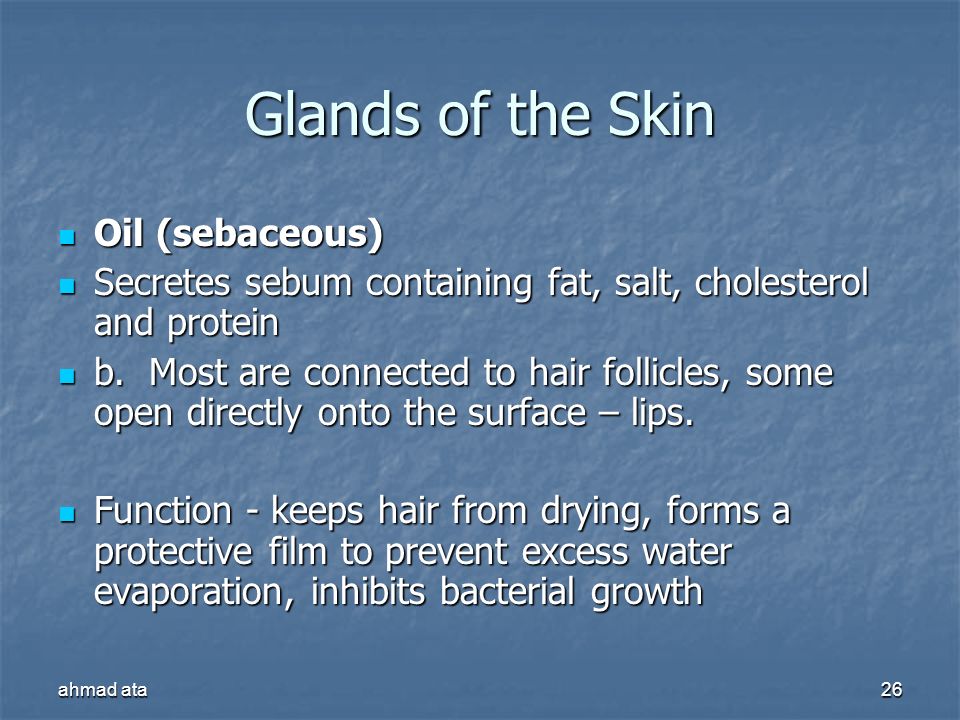 Glands of the Skin Oil (sebaceous)