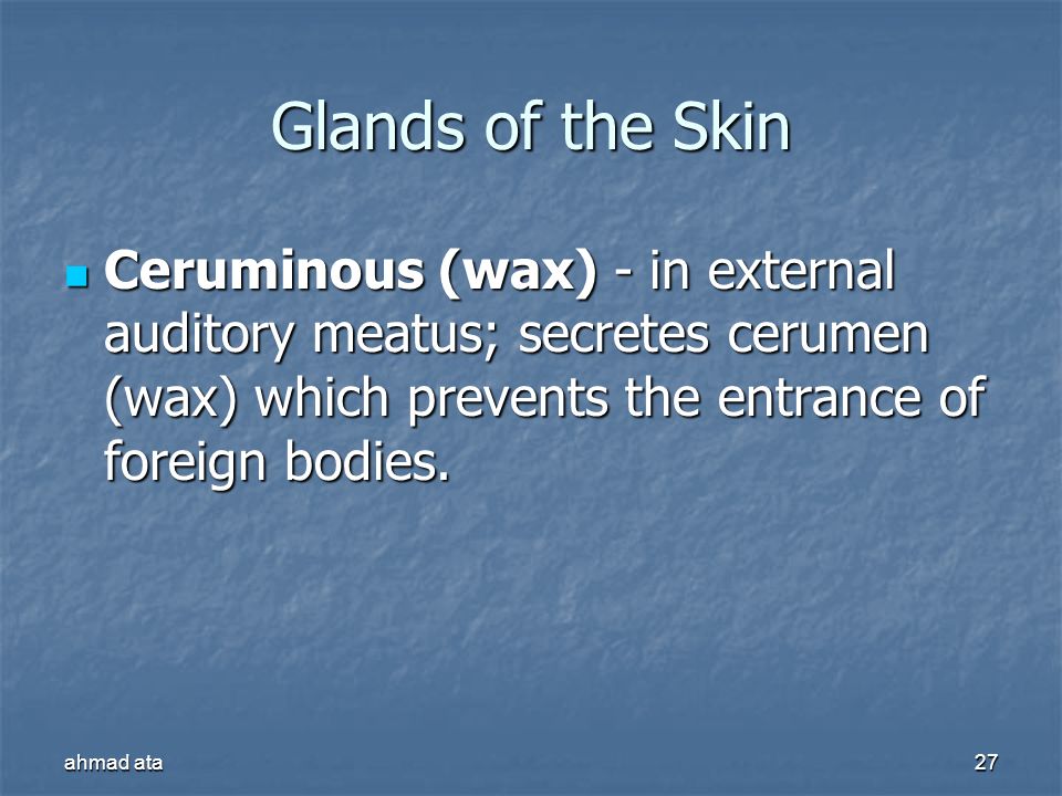 Glands of the Skin Ceruminous (wax) - in external auditory meatus; secretes cerumen (wax) which prevents the entrance of foreign bodies.