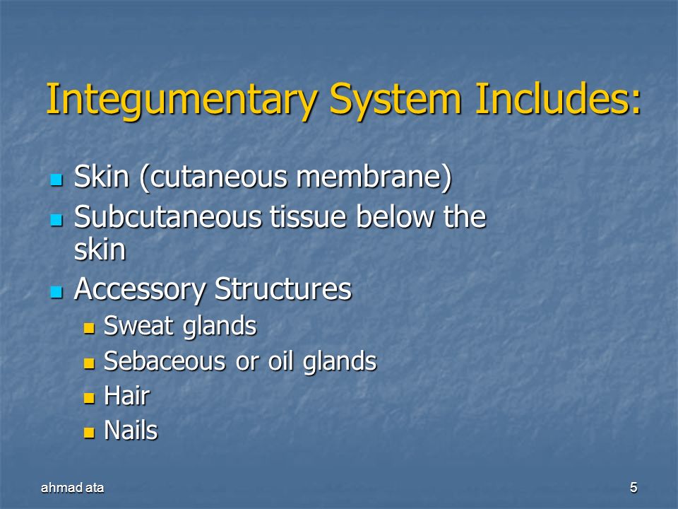 Integumentary System Includes: