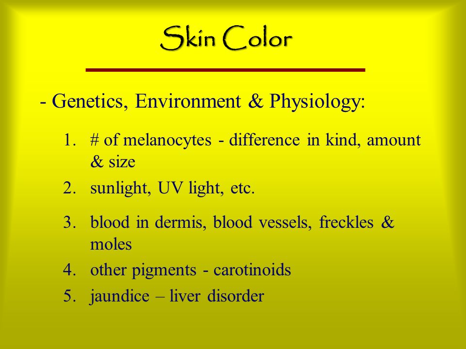 Skin Color - Genetics, Environment & Physiology: