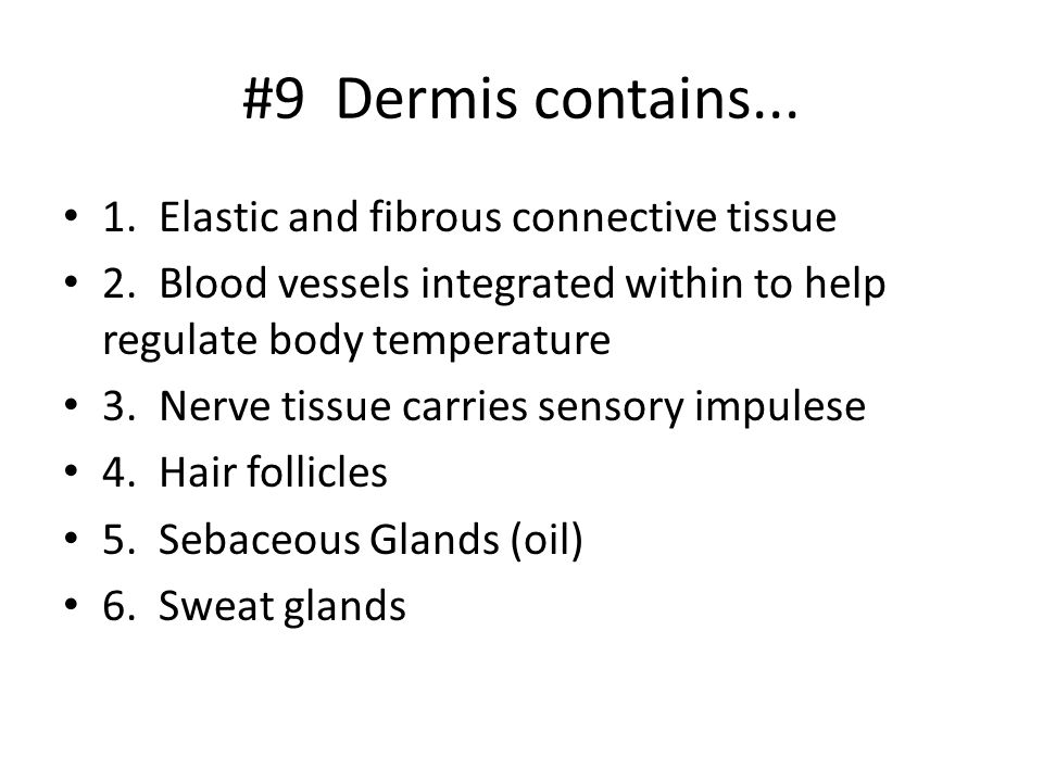 #9 Dermis contains Elastic and fibrous connective tissue