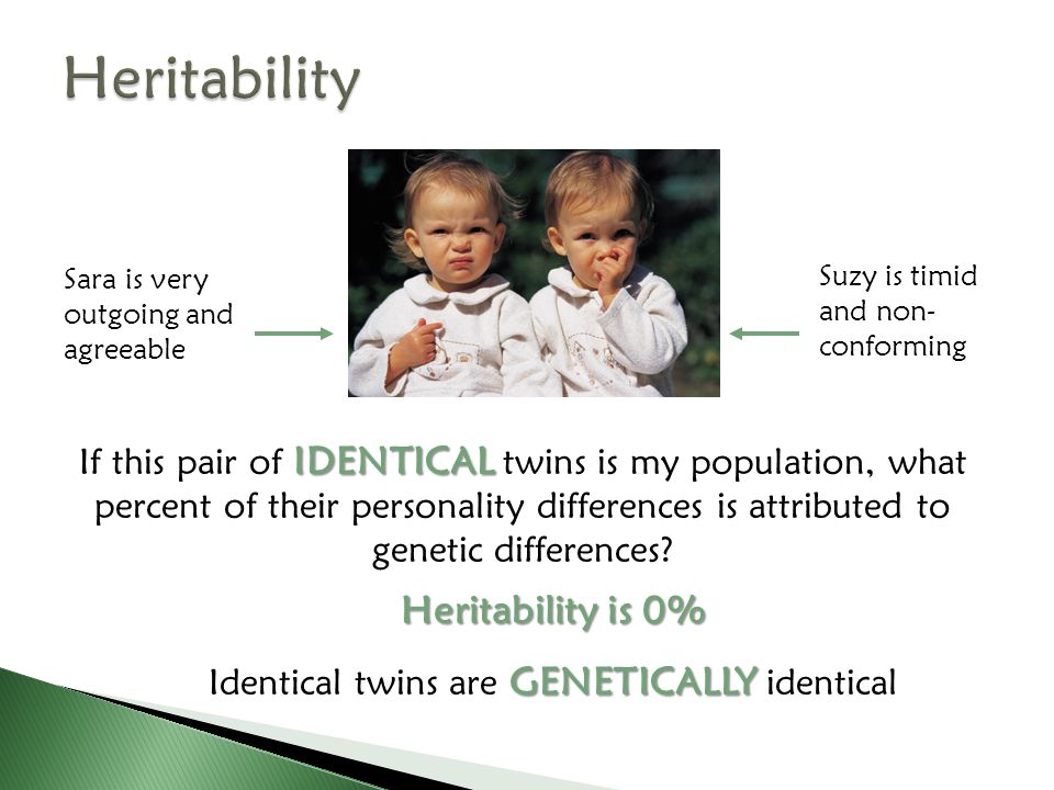 Identical twins are GENETICALLY identical