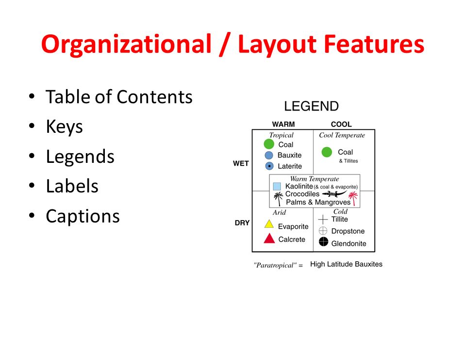 Organizational / Layout Features
