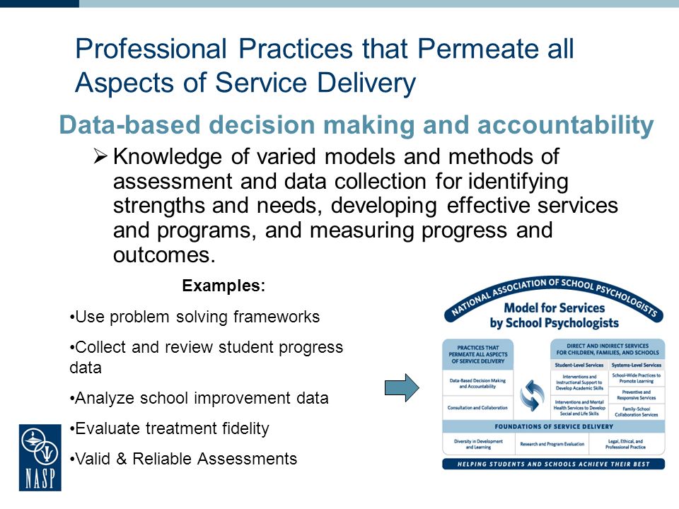Professional Practices that Permeate all Aspects of Service Delivery