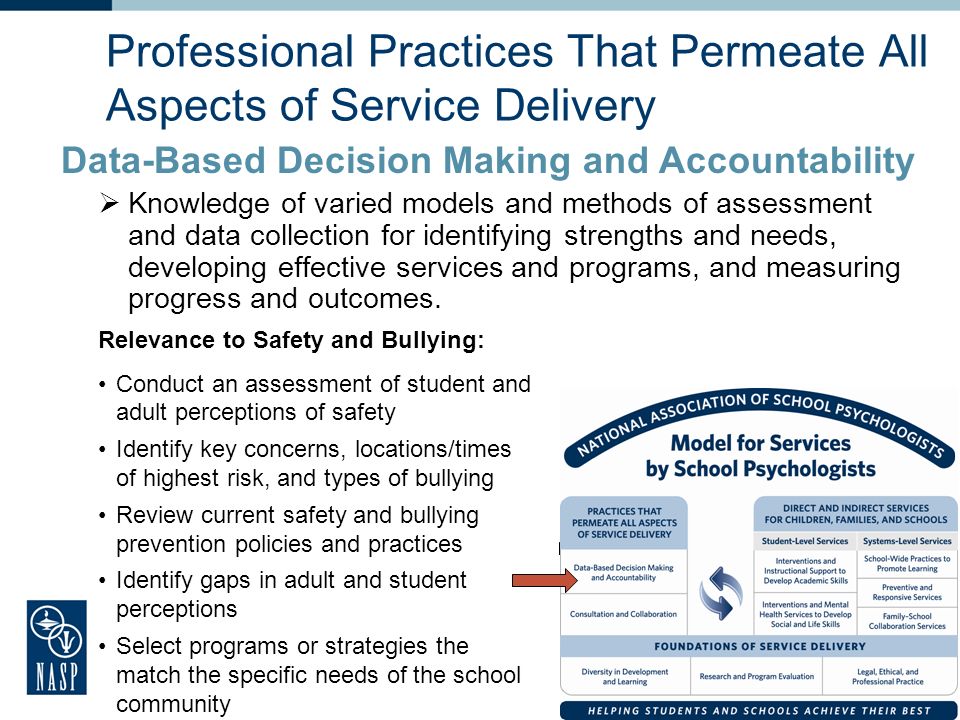 Professional Practices That Permeate All Aspects of Service Delivery