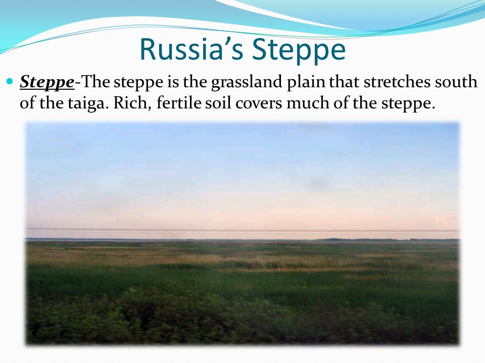 Russia’s Steppe Steppe-The steppe is the grassland plain that stretches south of the taiga.