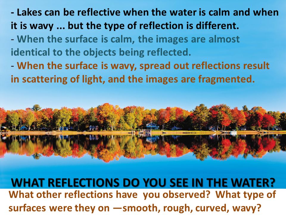 WHAT REFLECTIONS DO YOU SEE IN THE WATER