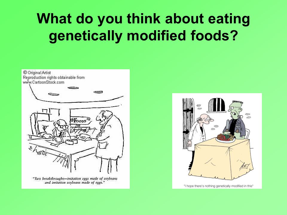 What do you think about eating genetically modified foods