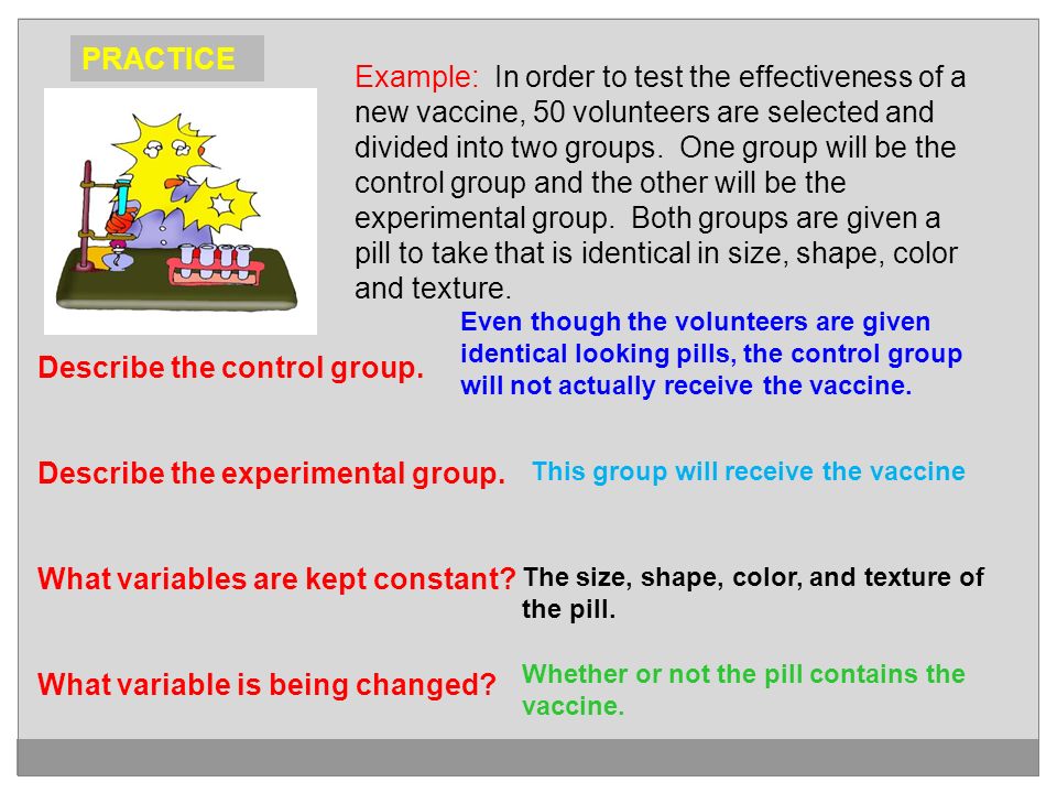 Describe the control group. Describe the experimental group.