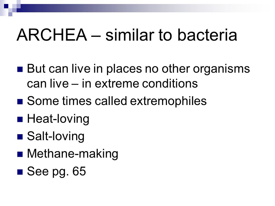 ARCHEA – similar to bacteria