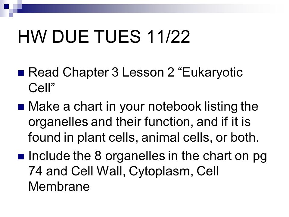 HW DUE TUES 11/22 Read Chapter 3 Lesson 2 Eukaryotic Cell