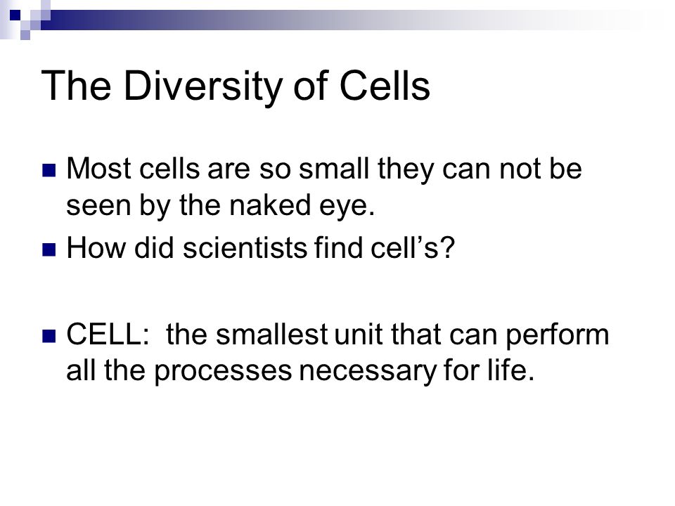 The Diversity of Cells Most cells are so small they can not be seen by the naked eye. How did scientists find cell’s