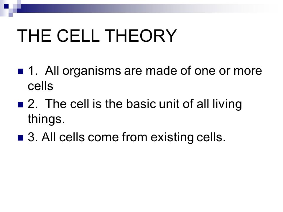 THE CELL THEORY 1. All organisms are made of one or more cells