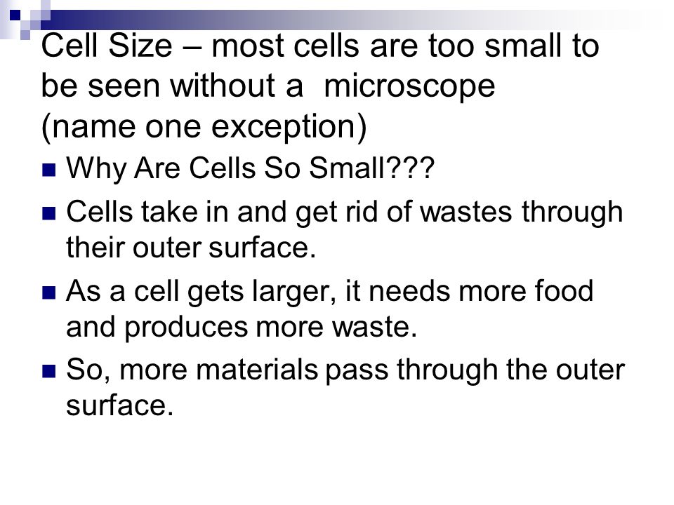 Cell Size – most cells are too small to be seen without a microscope (name one exception)