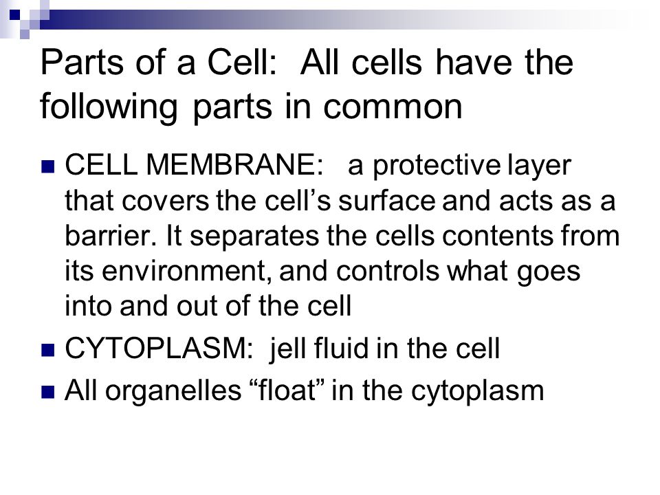 Parts of a Cell: All cells have the following parts in common