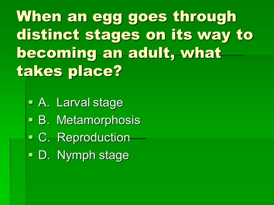 When an egg goes through distinct stages on its way to becoming an adult, what takes place