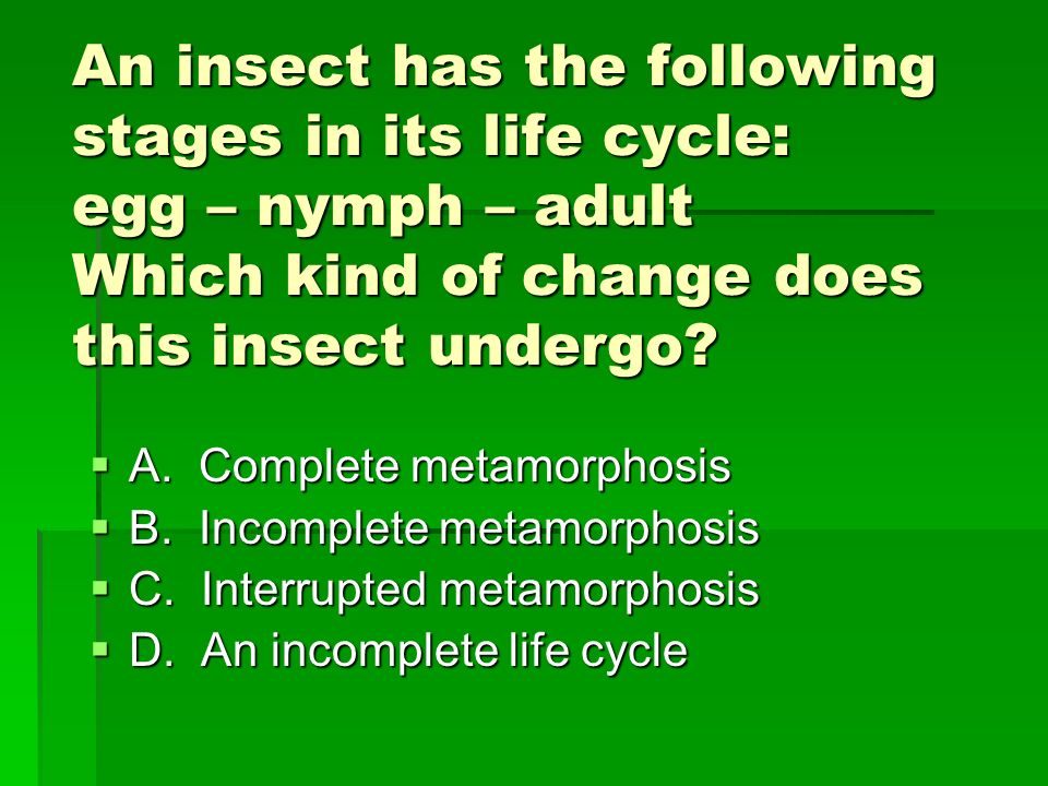 An insect has the following stages in its life cycle: egg – nymph – adult Which kind of change does this insect undergo