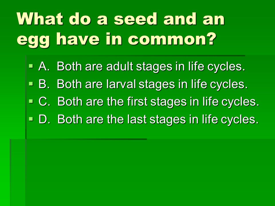 What do a seed and an egg have in common
