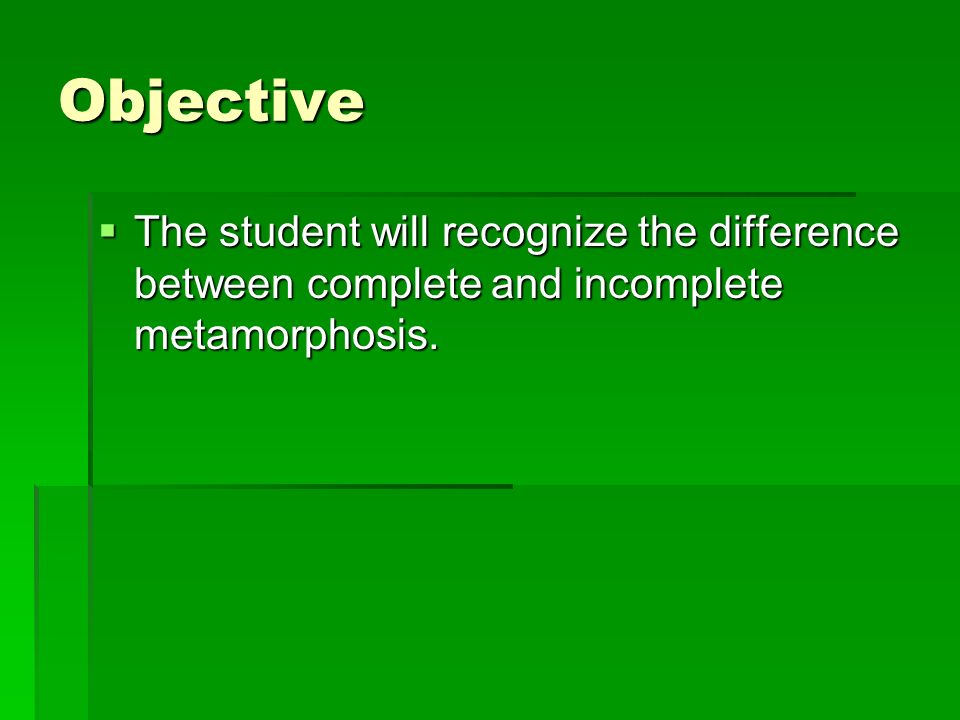 Objective The student will recognize the difference between complete and incomplete metamorphosis.