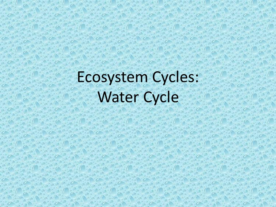 Ecosystem Cycles: Water Cycle