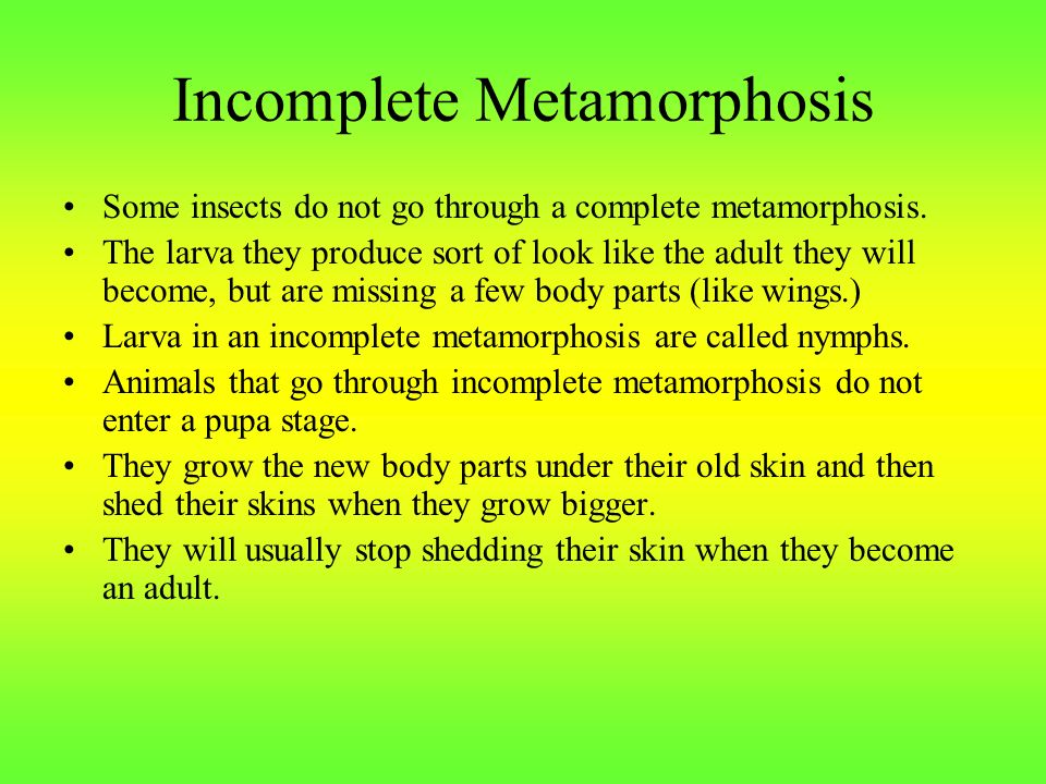 Incomplete Metamorphosis