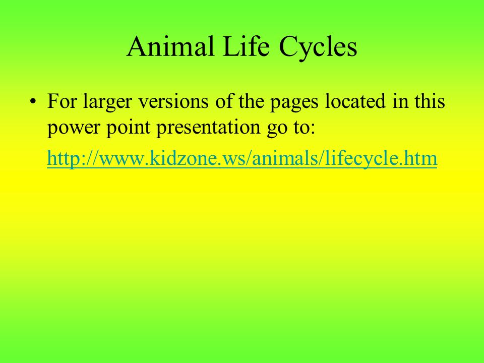 Animal Life Cycles For larger versions of the pages located in this power point presentation go to: