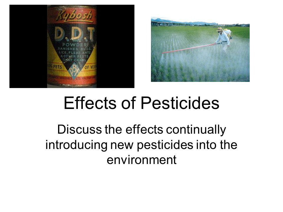 Effects of Pesticides Discuss the effects continually introducing new pesticides into the environment.