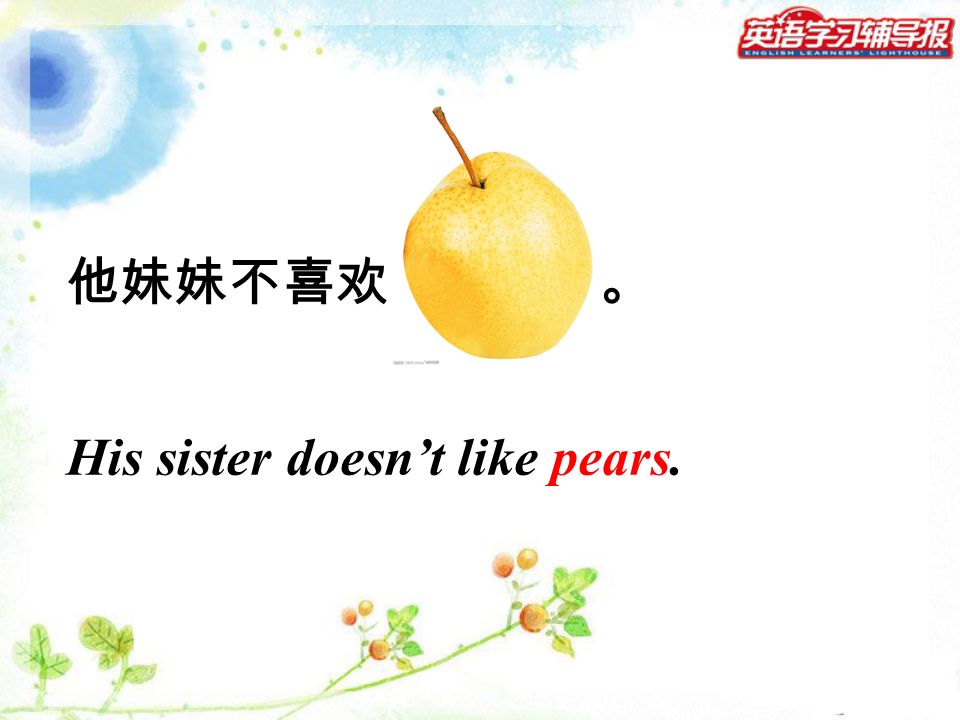 他妹妹不喜欢 。 His sister doesn’t like pears.