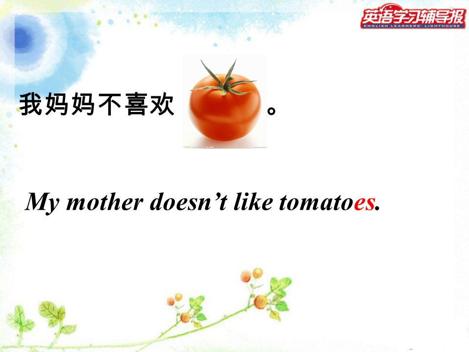 我妈妈不喜欢 。 My mother doesn’t like tomatoes.