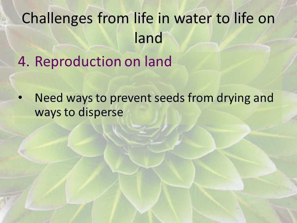 Challenges from life in water to life on land